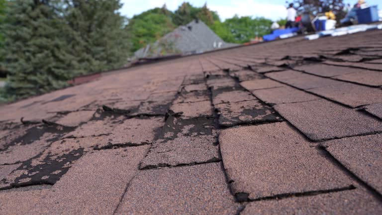 Best Roof Coating Services  in Lakemore, OH