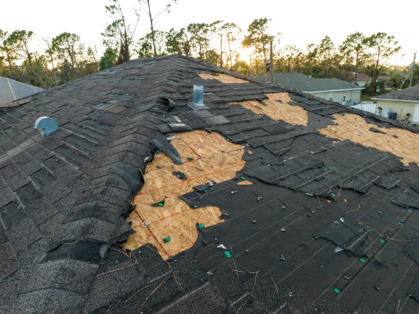 Professional Roofing in Lakemore, OH