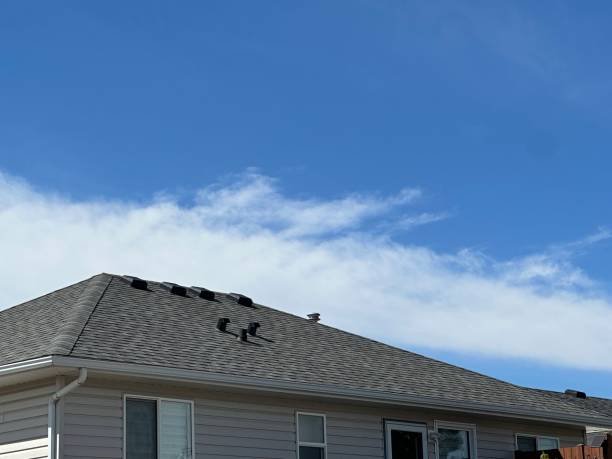 Best Gutter Installation and Repair  in Lakemore, OH